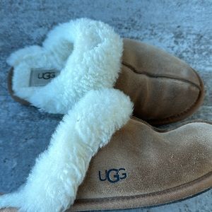 UGG Slippers